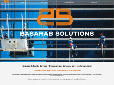 basarabsolutions.com snapshot
