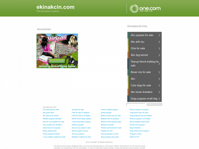 ekinakcin.com snapshot