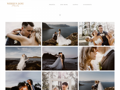 janu.lt snapshot