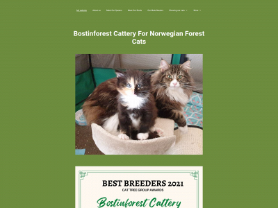 bostinforestcats.simplesite.com snapshot