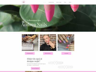 andreanails.dk snapshot