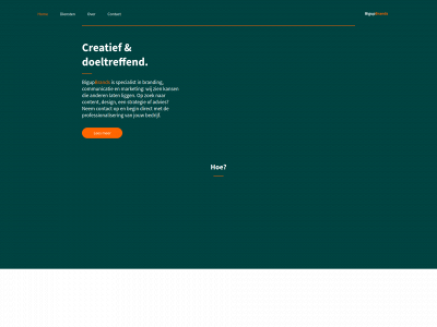 bigupbrands.nl snapshot