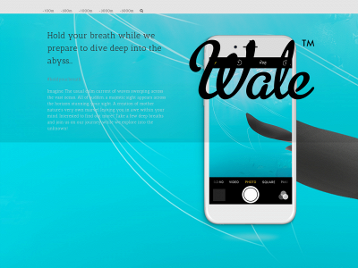 walefans.com snapshot