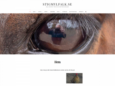 stigmylfalk.se snapshot