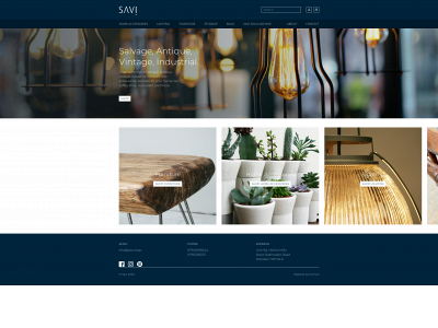 savi.shop snapshot