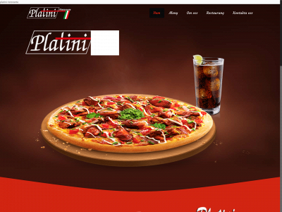 platini.se snapshot