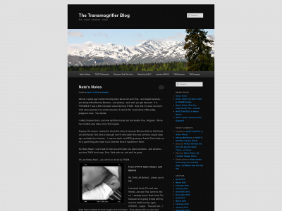 thetransmogrifier.com snapshot