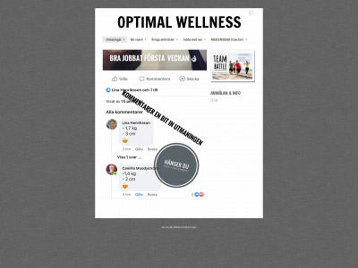 optimalwellness.se snapshot