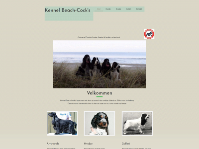 beachcock.dk snapshot