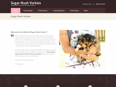 sugarrushyorkies.com snapshot
