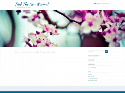 findthenewnormal.com snapshot