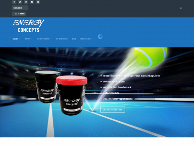 energy-concepts.de snapshot