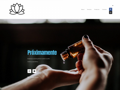 vishnu.es snapshot