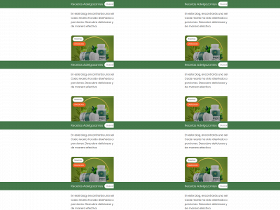 recetasadelgazantes.com snapshot