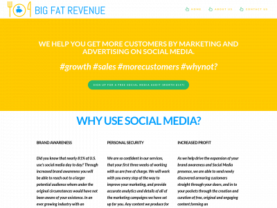 bigfatrevenue.com snapshot