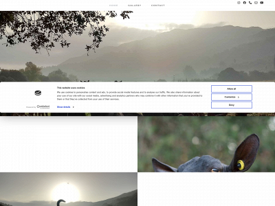 formatgessacabreta.es snapshot