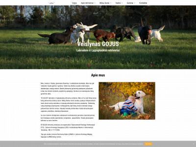 veislynasgojus.lt snapshot