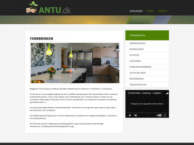 tornbrinken.dk snapshot