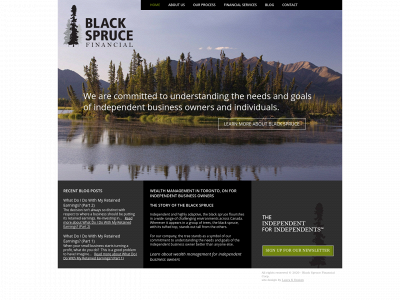blacksprucefinancial.com snapshot