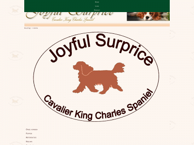 joyfulsurprice.nl snapshot