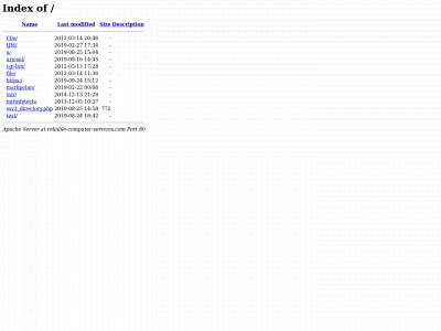 reliable-computer-services.com snapshot