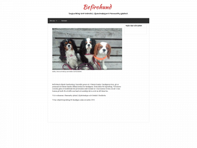 befirohund.se snapshot
