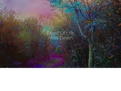 proofoflifeafterdeath.com snapshot