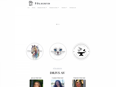 folseryd.se snapshot
