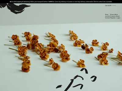 thatflowershop.co.uk snapshot