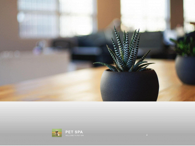 apactraining7.com snapshot