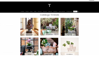 trinitateleon.com snapshot