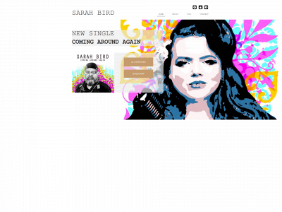 sarahbird.org.uk snapshot
