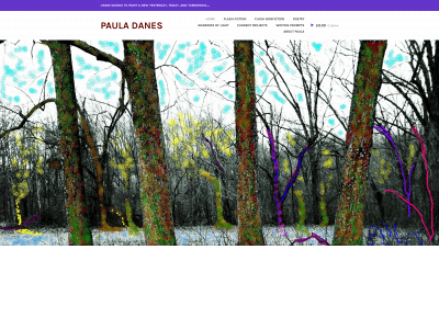 pauladanes.com snapshot