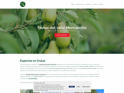 vallemoncalvillo.com snapshot