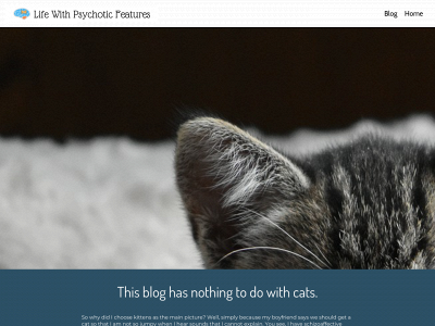 lifewithpsychoticfeatures.com snapshot