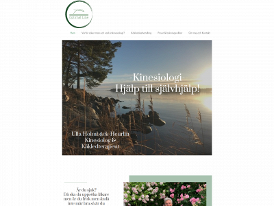 optimalline.se snapshot