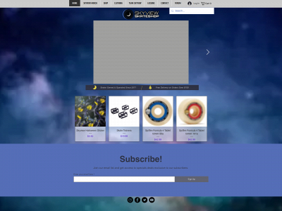 skyviewskateshop.com snapshot