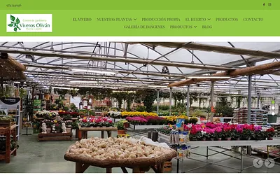 viverosolivan.es snapshot