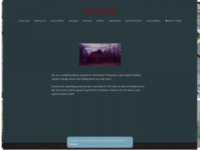 huntengettengo.com snapshot