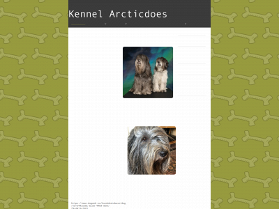arcticdoes.com snapshot