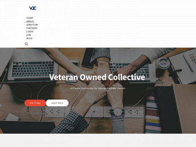 testvoc.site snapshot