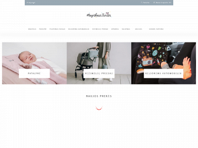 mbairl.lt snapshot