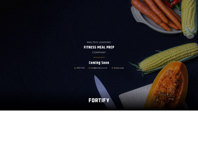 fortify.com.mt snapshot