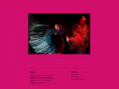 flamencoflamenco.be snapshot