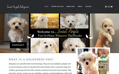 www.sweetangelsbolognese.com snapshot