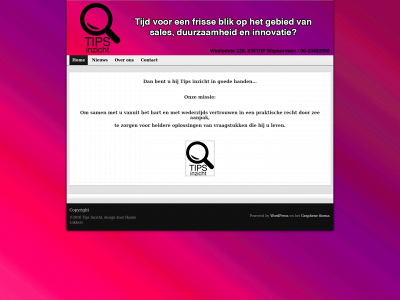 tipsinzicht.nl snapshot