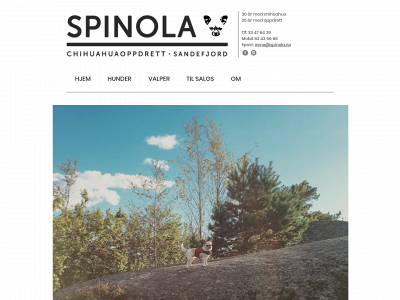 spinola.no snapshot