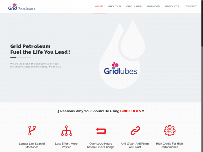gridpetroleumghana.com snapshot