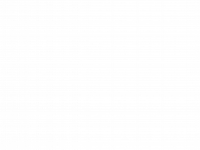 granosol.com.bo snapshot
