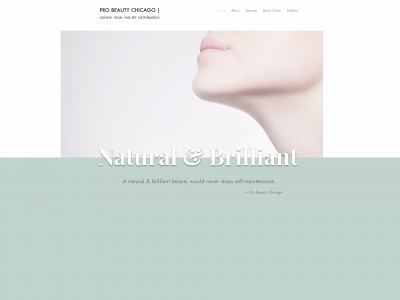 www.probeautychicago.com snapshot